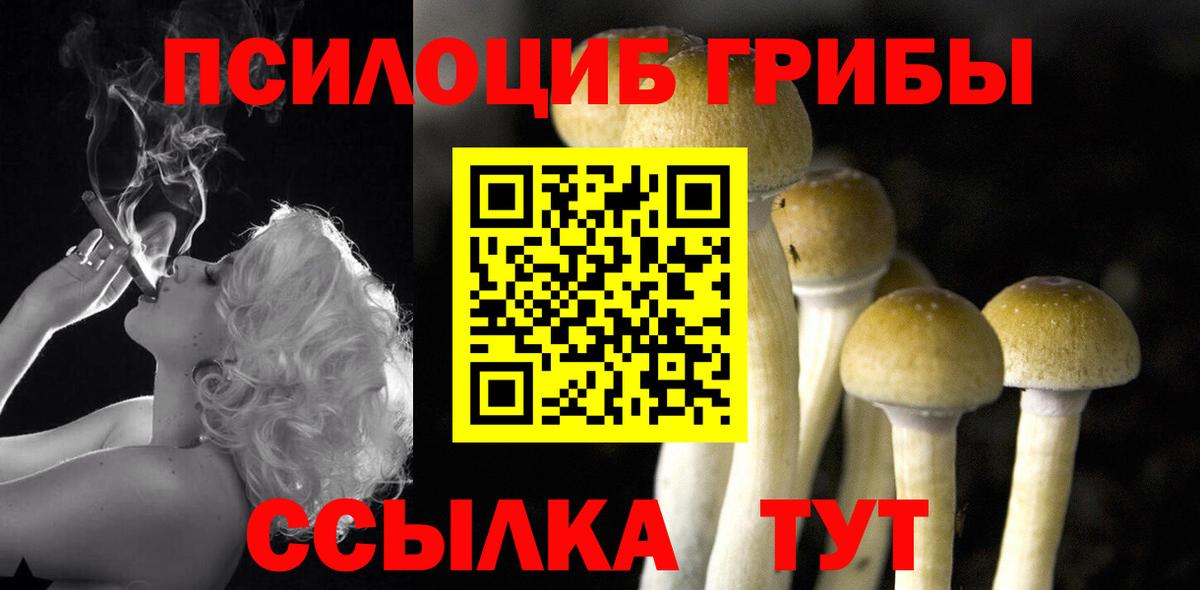 дарнет шоп  Псилоцибиновые грибы Cubensis  Вход с VPN  Благодарный  Галлюциногенные грибы GOLDEN TEACHER 